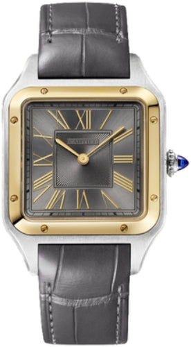 Cartier Santos-Dumont Watchlargesteel Yellow Gold Watch - W2SA0028