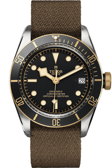Tudor Black Bay S&G Ref - M79733N-0005