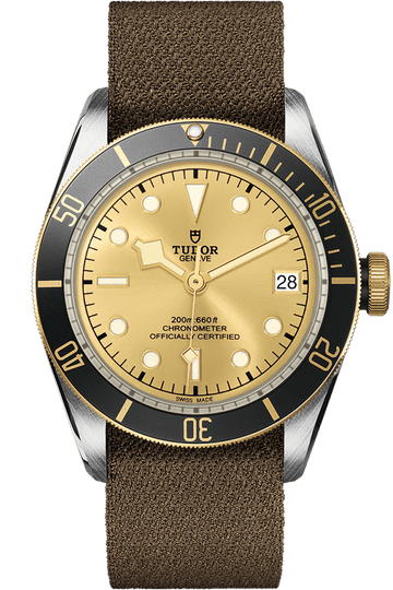 Tudor Black Bay S&G Ref - M79733N-0006